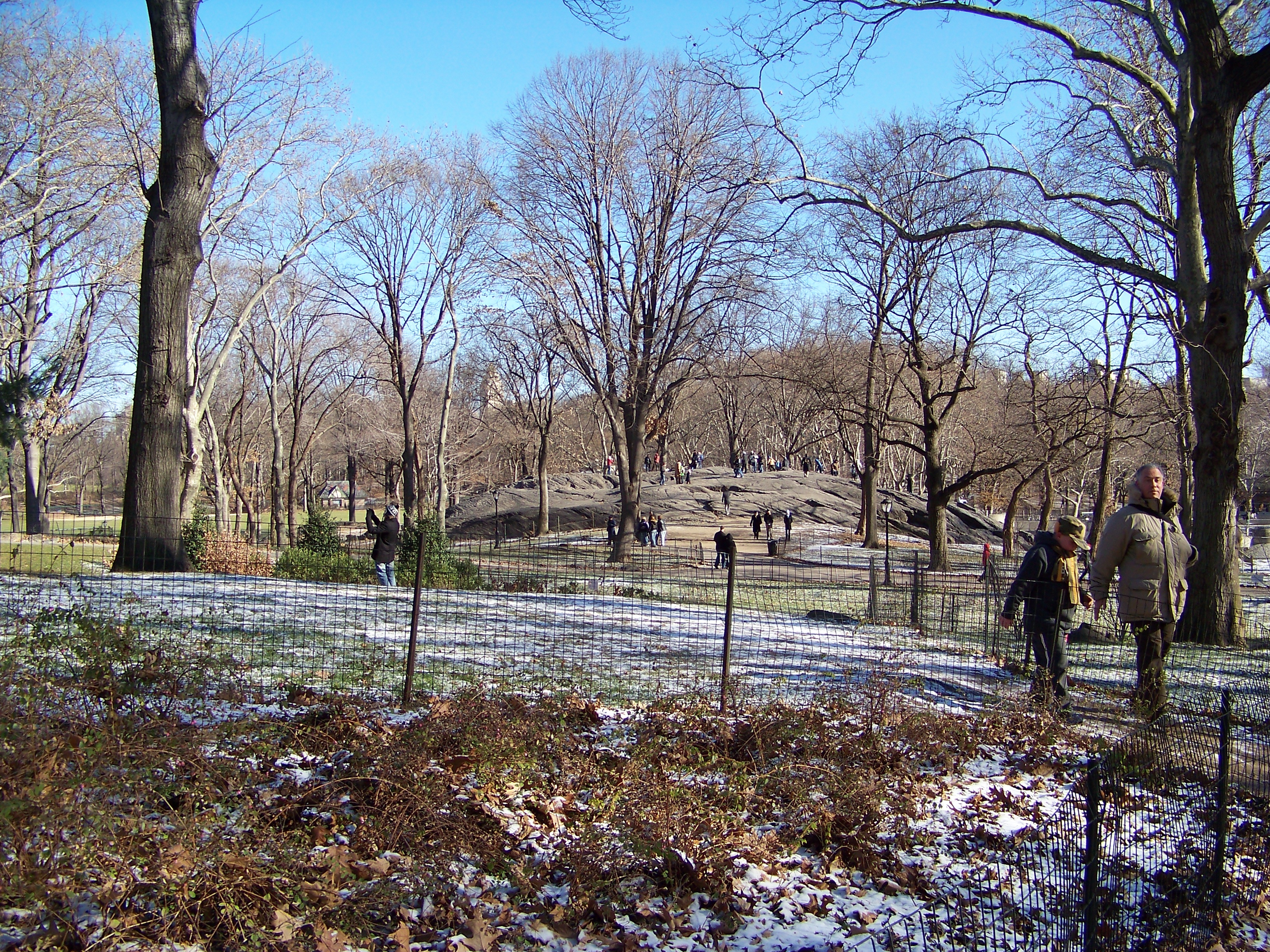 Central Park-1.jpg